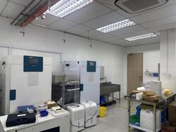 Tuas Avenue 2 (D22), Warehouse #480108391